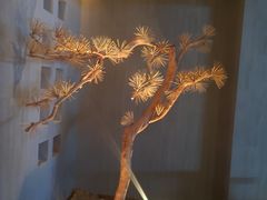 景观位-春熙台韩国料理·章鱼肥牛(西丽店)