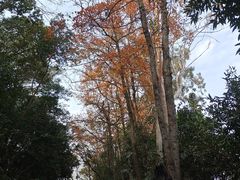 -白云山风景名胜区