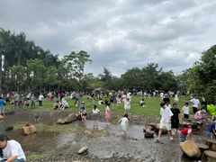 -海上田园