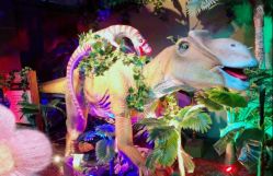 -恐龙探索乐园(磁器口店)