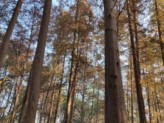 -杭州西湖风景名胜区-章太炎纪念馆