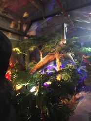 -恐龙探索乐园(磁器口店)