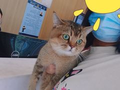 -北京恒爱动物医院(清景园分院)