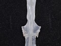 -土砂锅生态山庄·非遗砂锅雅鱼