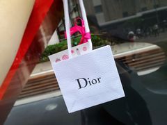 -Dior迪奥(上海世茂广场店)