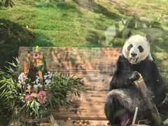 -无锡动物园·太湖欢乐园