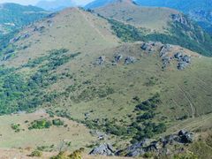 -大姆山草场