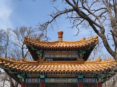 -老龙头景区