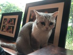 -咖法森林·咖啡  酒吧(天河店)