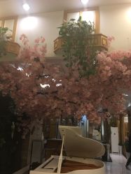 -逸丝风尚