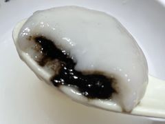 -朱新年·苏式汤团·面点(北寺塔店)