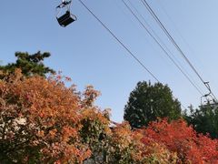 -香山公园