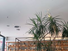 大堂-村外有星光小食铺(长嘉汇店)
