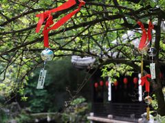 -善卷洞风景区