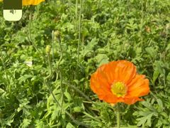 -四里河滨水生态公园