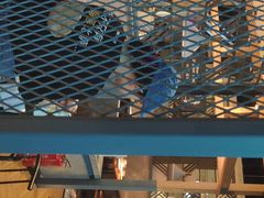 门面-比格比萨自助(国展店)