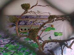 -哈尔滨北方森林动物园