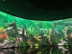-中国湿地博物馆