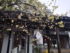 -江宁织造博物馆