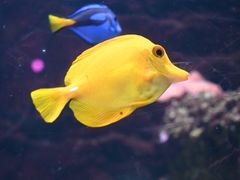 -正佳极地海洋世界