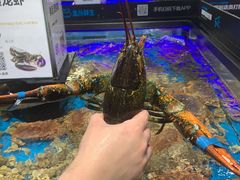 -盒马鲜生(岭南新世界店)