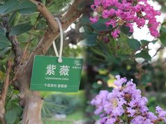-陶然亭公园