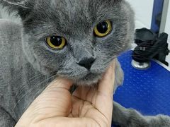 -佳雯宠物医院(金华南路分院)