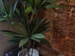 -香猪坊(五道口店)