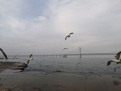 -星海广场