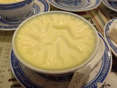 双皮奶-捷信牛奶甜品世家(五道口店)