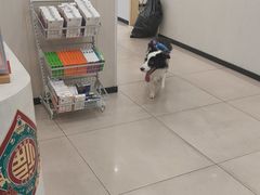 -艾贝尔宠物医院 ·中兽医·宠保定点(北门桥店)