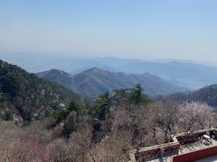 -府君山公园