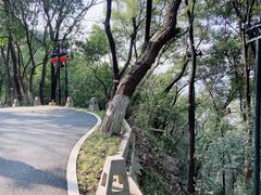 -龟山风景区-龟山电视塔