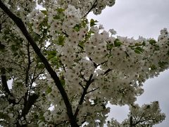 -尚贤河湿地