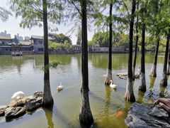 -东莞市可园博物馆