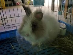 -雨林宠物医院 非犬猫异宠专科