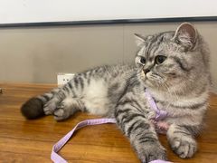 -新疆阿凡提烧烤(泾水路店)