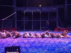 -西安秦岭野生动物园