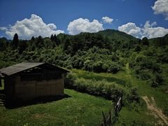 -黑河国家森林公园