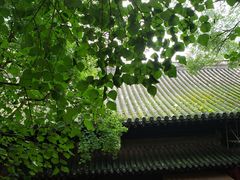 -大觉寺-停车场