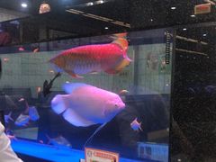 -新辉港式茶餐厅(北栅店)