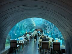 -涛·海底餐厅·美人鱼·自助餐·海底隧道(三亚海棠湾洲际度假酒店)