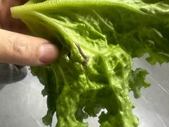 -马晓马佳牛羊肉(新合路店)