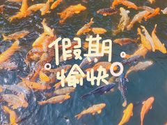 -千岛湖城中湖游船码头