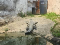 -武汉动物园