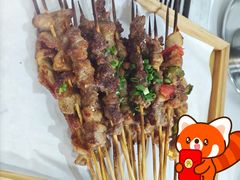 -山野的朋友露营炭火烤肉