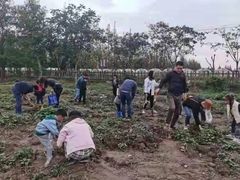 -前小桔亲子创意农场·草莓采摘·露营烧烤