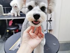 -小尾巴宠物店(万科·金域华庭店)