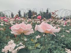 -尚贤河湿地