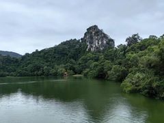 -三门江国家森林公园